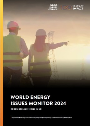 World Energy Issues Monitor 2024 Singapore Country Commentary